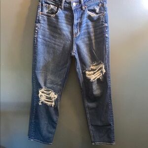 American Eagle Outfitters Classic Blue Denim Jeans